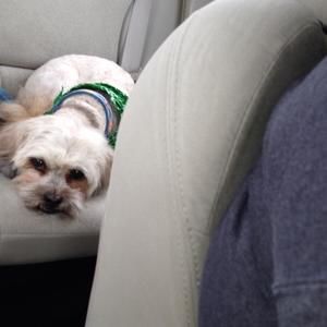 Meet your Posher, Wilma